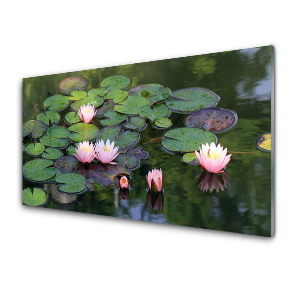 Tableau photo sur verre Nénuphars dans un étang