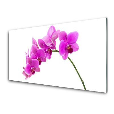 Tableau en verre Fleur sur une tige Orchidée