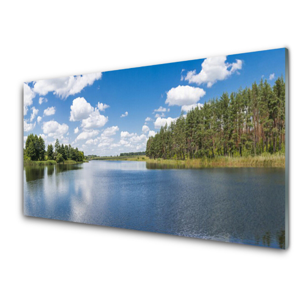 Tableau en verre Ciel bleu d'une forêt lacustre