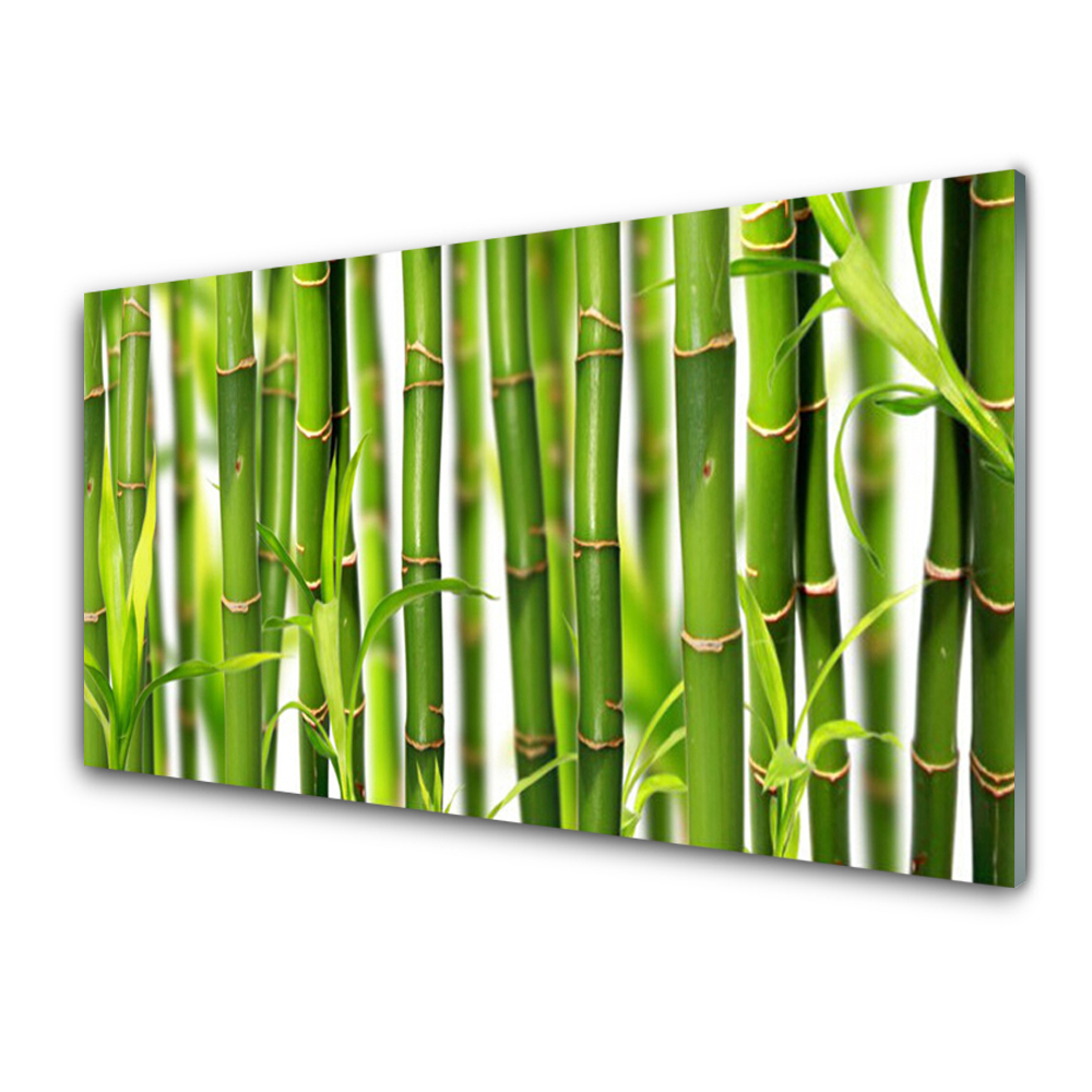 Tableau photo sur verre Pousses de bambou vertes