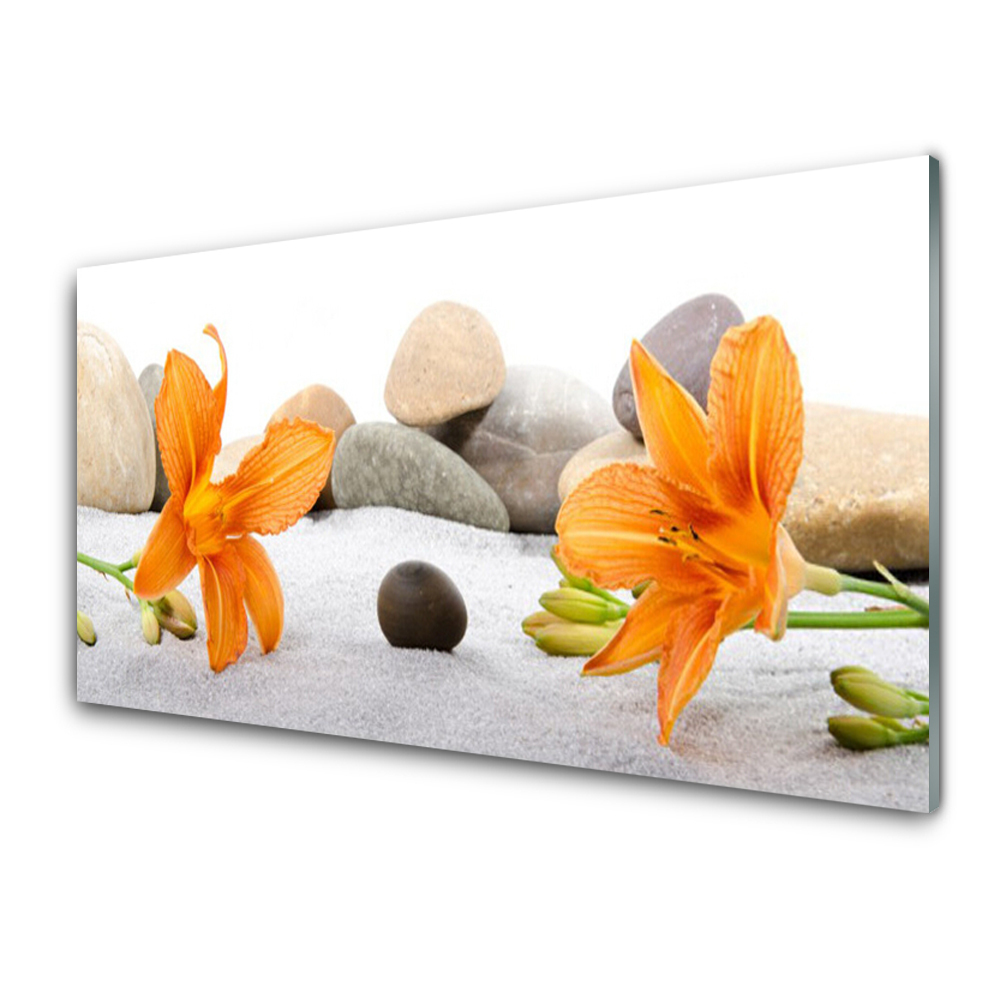Tableau imprimé sur verre Lys sur des pierres de sable