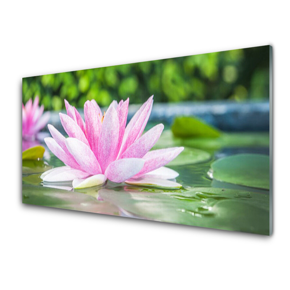 Tableau verre imprimé Étang de nénuphars roses