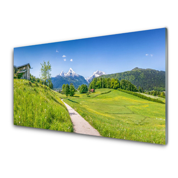 Tableau photo sur verre Chemin dans la vallée verte Montagne