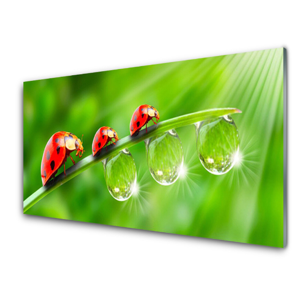 Tableau photo sur verre Trois coccinelles sur une feuille tombante