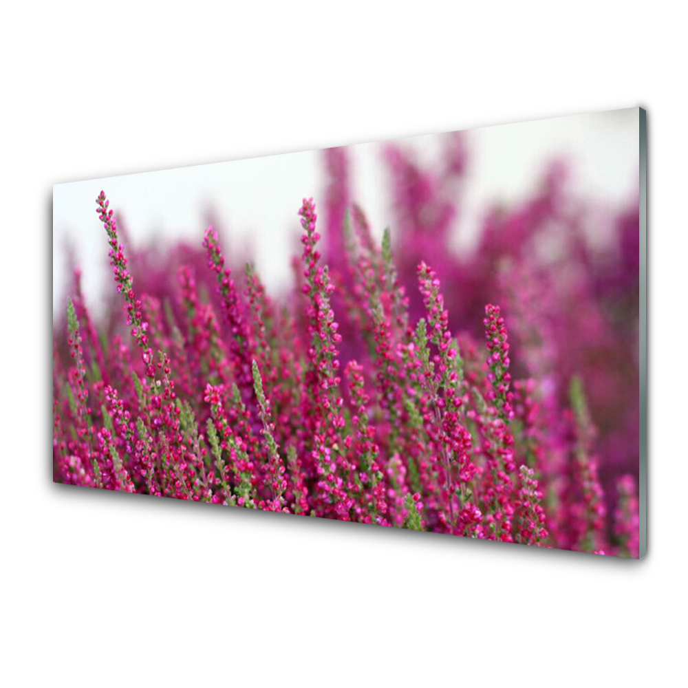 Tableau en verre Champ de fleurs rouges