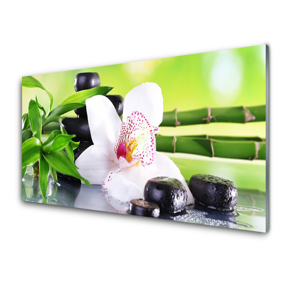 Tableau en verre Fond vert pousses de bambou
