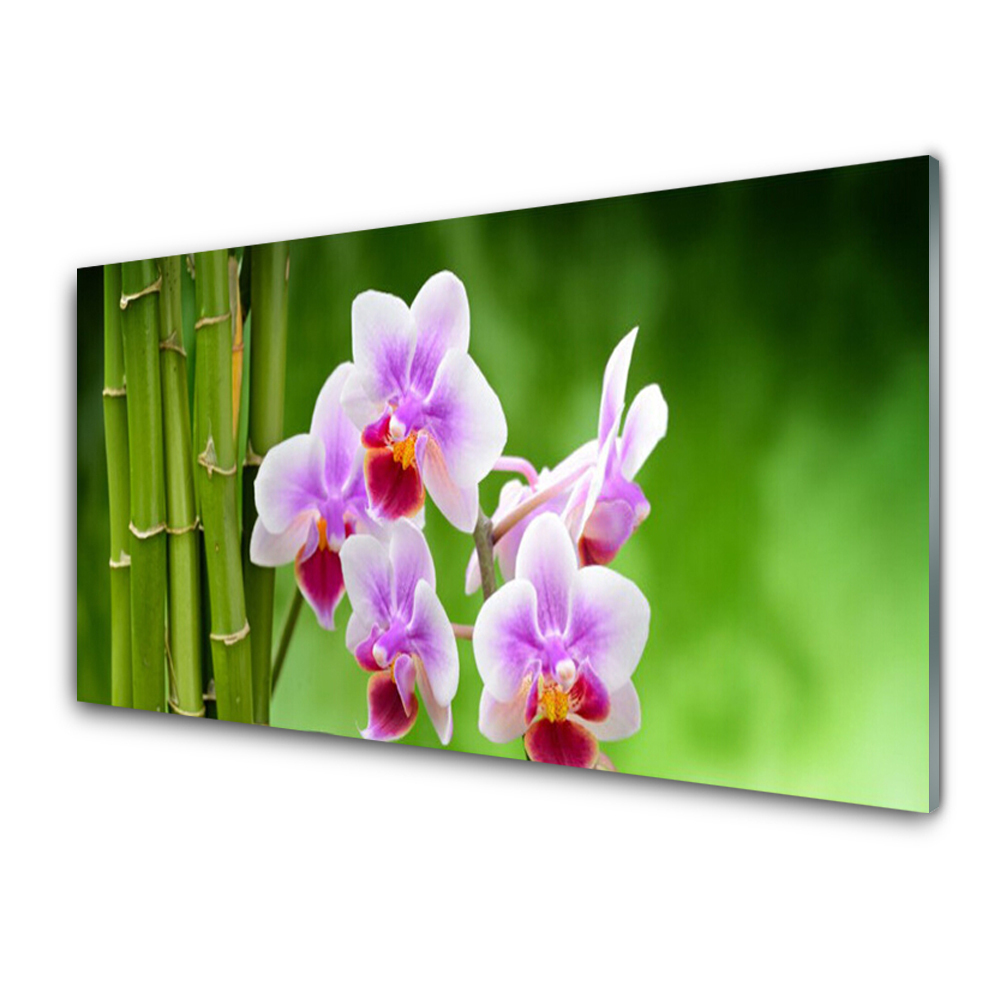 Tableau photo sur verre Bambou et orchidée rose