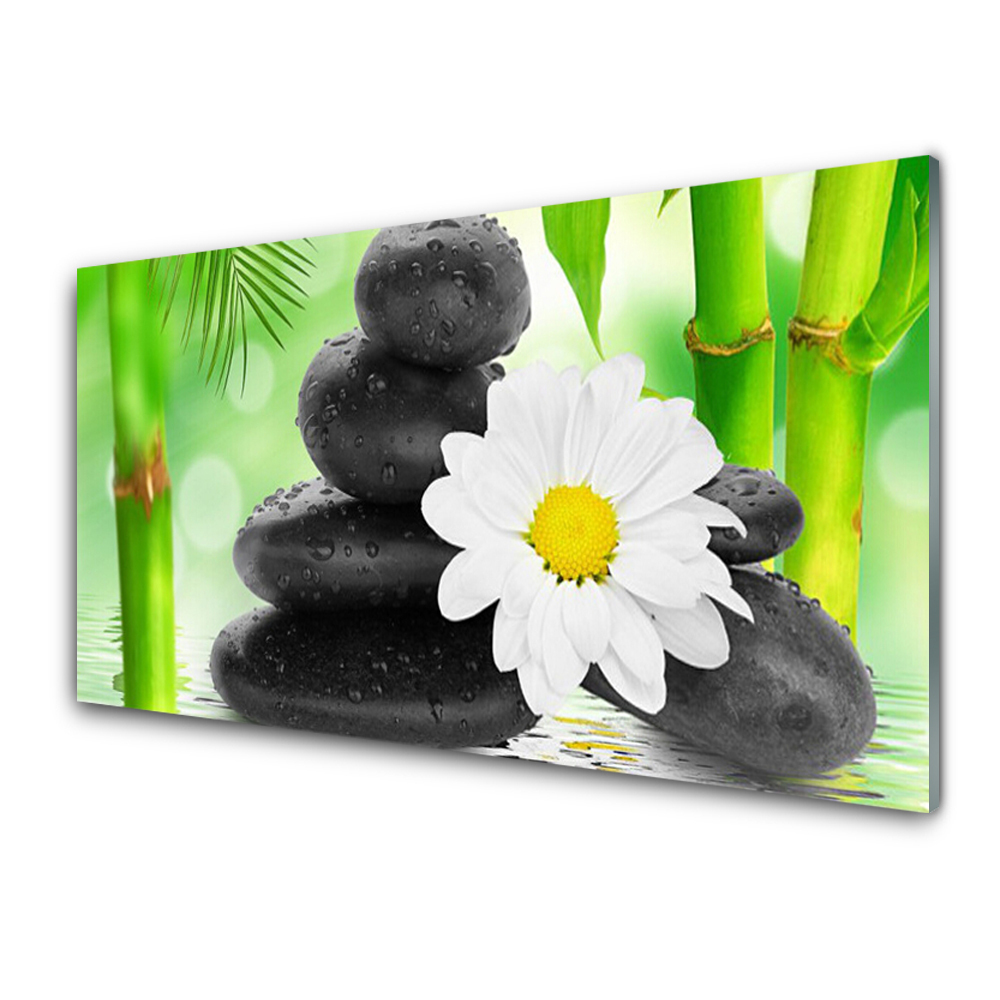 Tableau imprimé sur verre Pierres noires et fleur blanche
