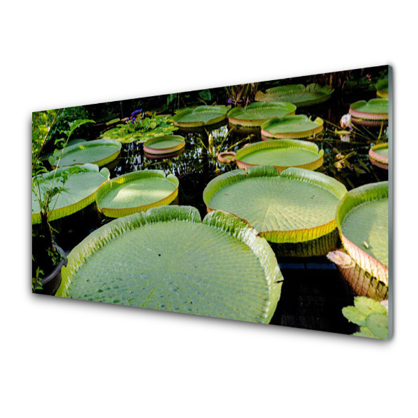 Tableau en verre Feuilles de nénuphar