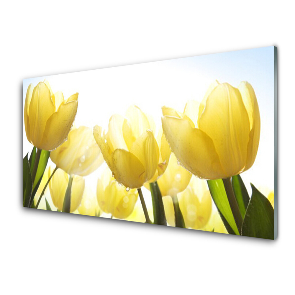 Tableau verre imprimé Gros plan sur des tulipes jaunes