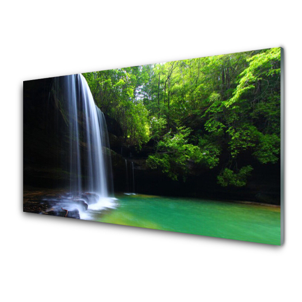 Tableau photo sur verre Cascade parmi les arbres d'une forêt