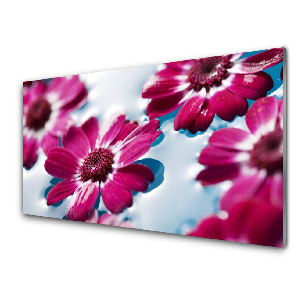 Tableau imprimé sur verre Fleurs de couleur fuchsia