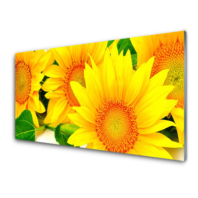 Tableau sur verre Tournesols jaunes Nature