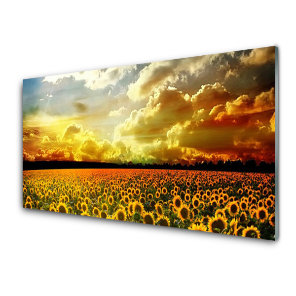 Tableau imprimé sur verre Champ de tournesols dorés Paysage