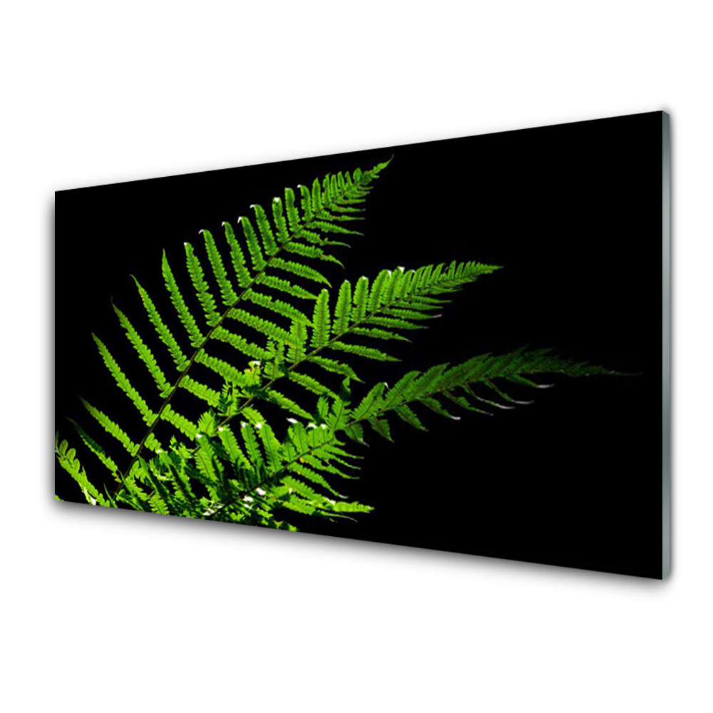 Tableau en verre Feuilles de fougère fond noir