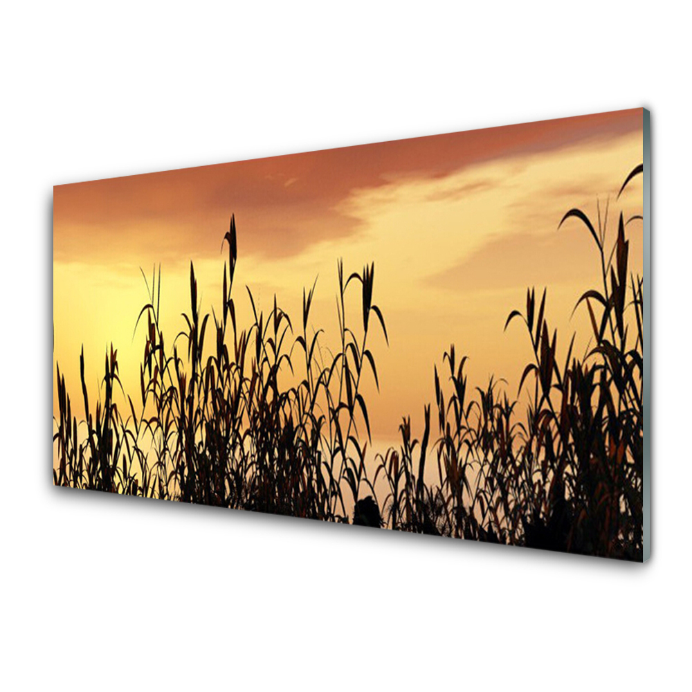 Tableau en verre Feuilles sur fond de ciel orange