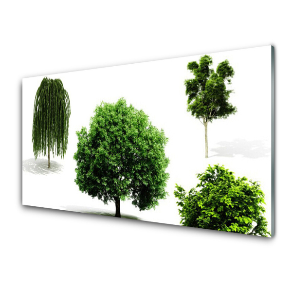 Tableau imprimé sur verre Arbres sur fond blanc