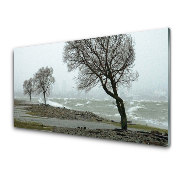 Tableau verre imprimé Arbres inondés