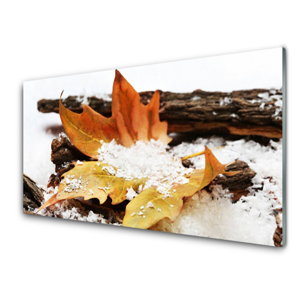 Tableau photo sur verre Feuille dans la neige Automne