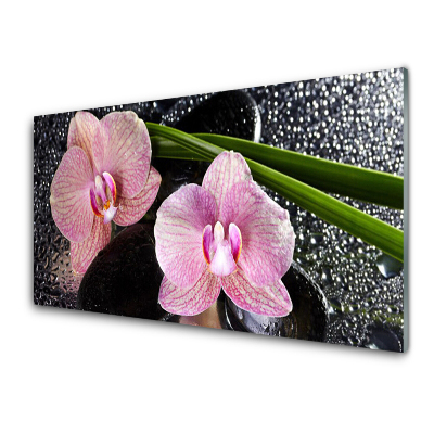 Tableau sur verre Orchidée rose zen