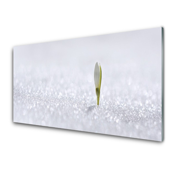 Tableau en verre Perce-neige Fleur de neige Hiver