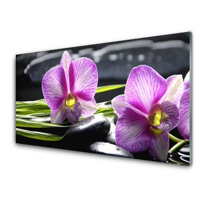 Tableau sur verre Orchidées violettes Pierres du spa zen