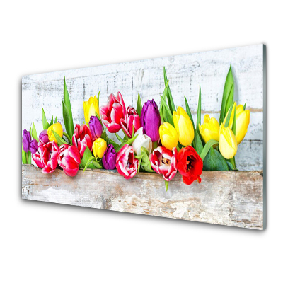 Tableau imprimé sur verre Tulipes multicolores