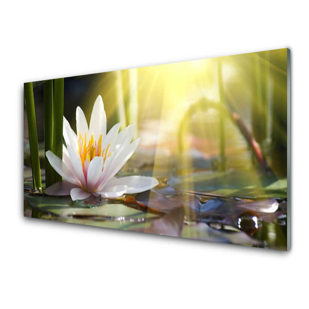 Tableau en verre Nénuphar Soleil