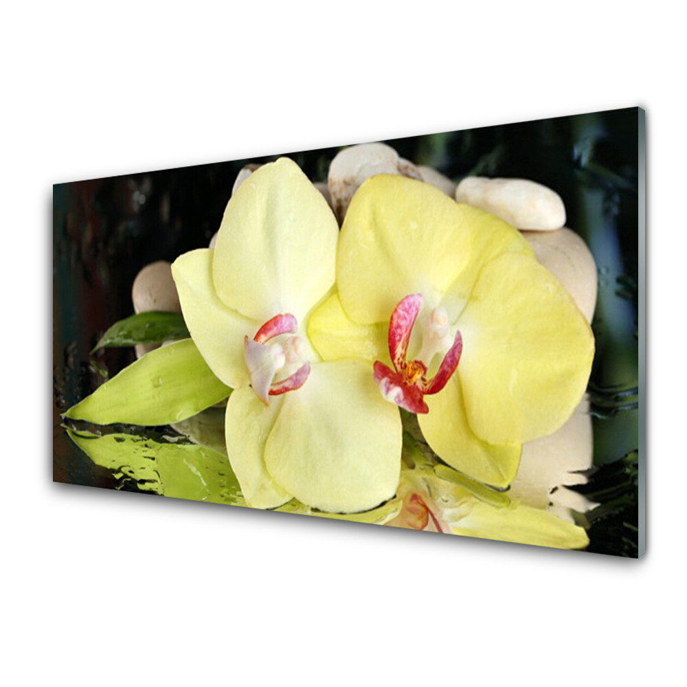 Tableau en verre Pétales jaunes Fleur d'orchidée