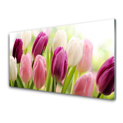 Tableau en verre Gros plan sur des tulipes roses