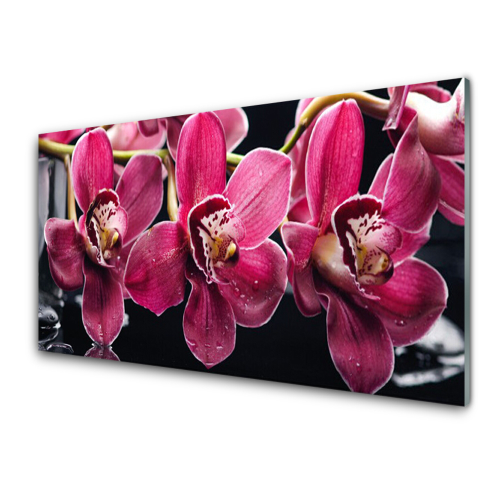 Tableau verre imprimé Fleurs d'orchidées roses Nature