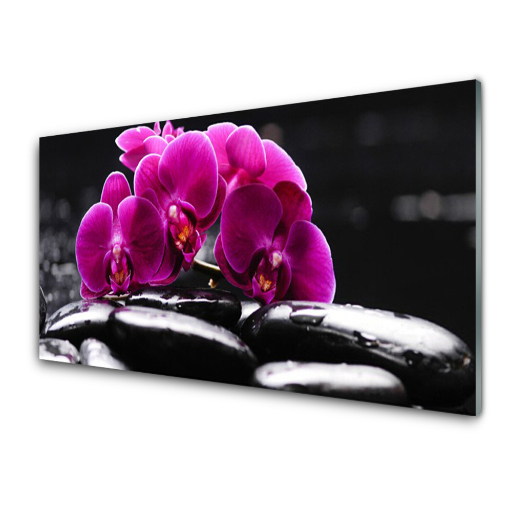 Tableau photo sur verre Orchidée zen Pierres de Spa