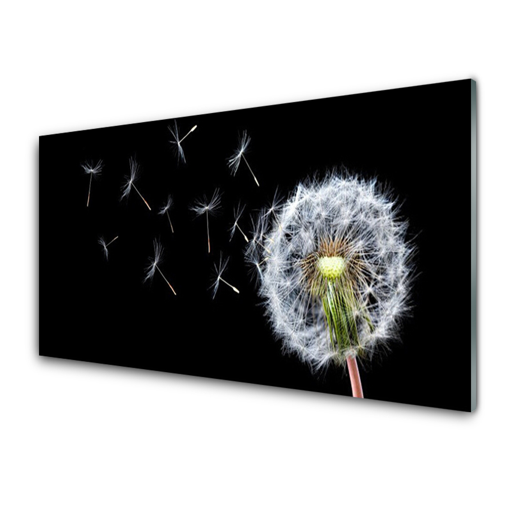 Tableau verre imprimé Graines de poisson soufflé fond noir