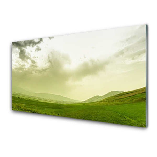 Tableau sur verre Paysage de ciel de prairie verte