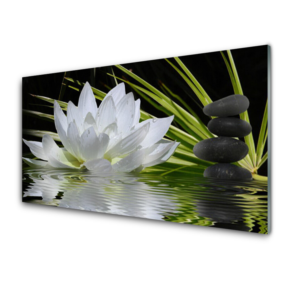 Tableau imprimé sur verre Nénuphar sur une nappe d'eau