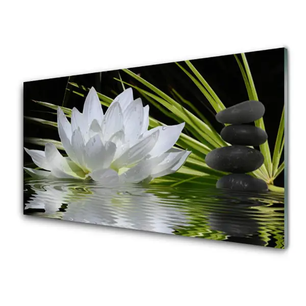 Tableau imprimé sur verre Nénuphar sur une nappe d'eau
