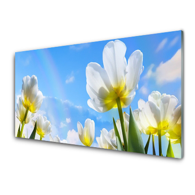 Tableau sur verre Plantes tulipes blanches