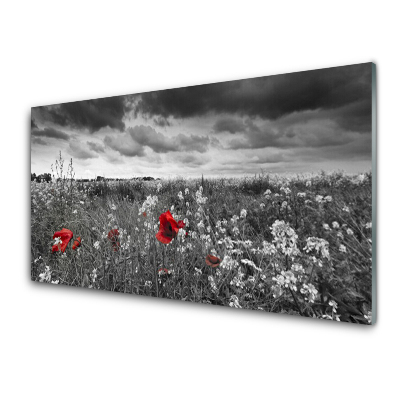 Tableau photo sur verre Prairie noire et blanche et coquelicots rouges