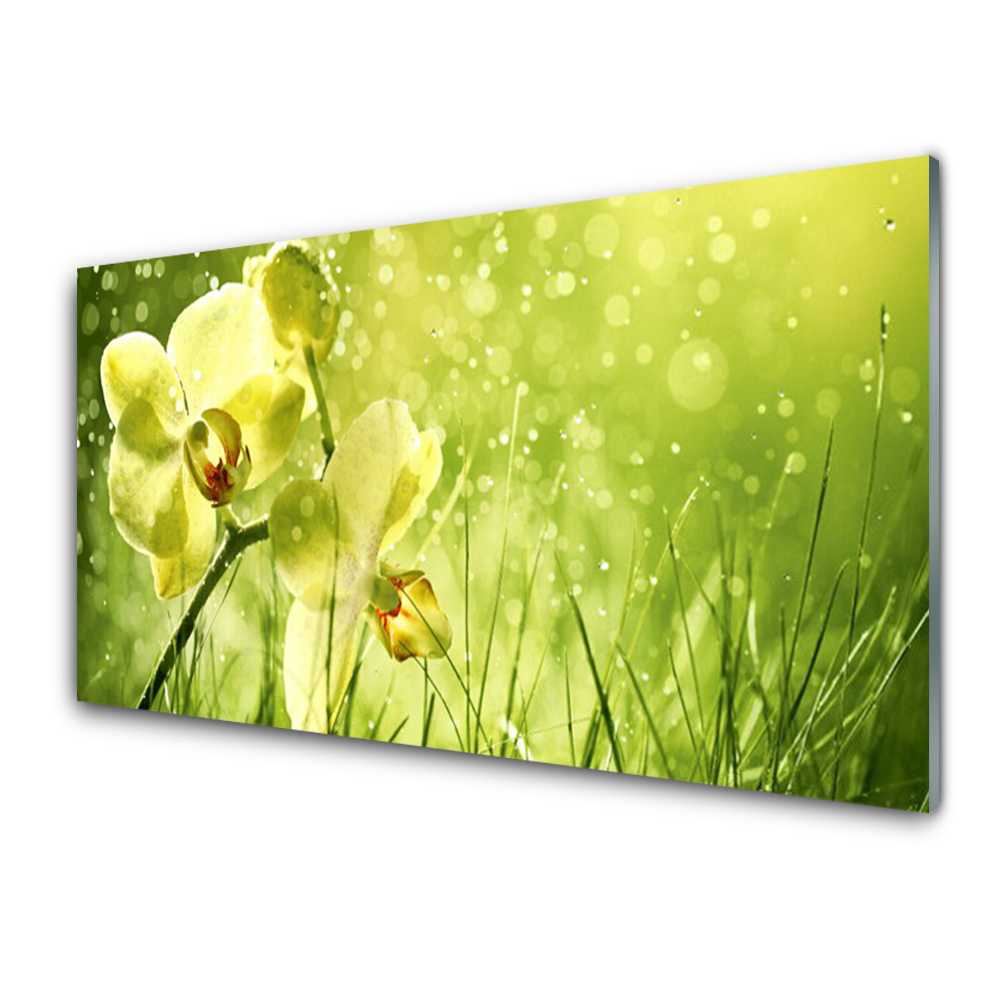 Tableau en verre Fond vert et orchidée jaune