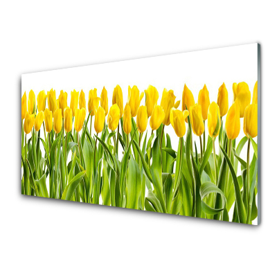 Tableau photo sur verre Deux rangées de tulipes jaunes