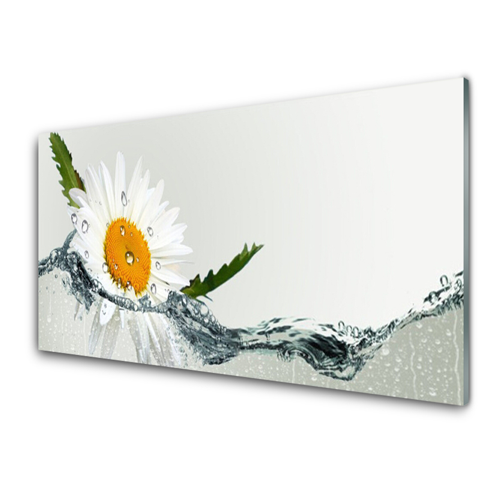 Tableau imprimé sur verre Marguerite blanche dans l'eau