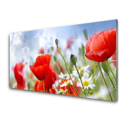 Tableau photo sur verre Coquelicots et marguerites Fleurs