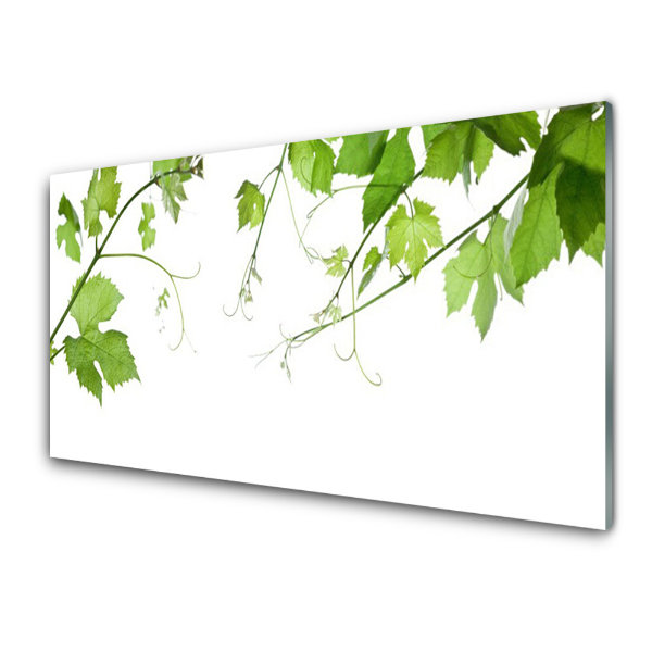 Tableau sur verre Branches avec feuilles sur fond blanc