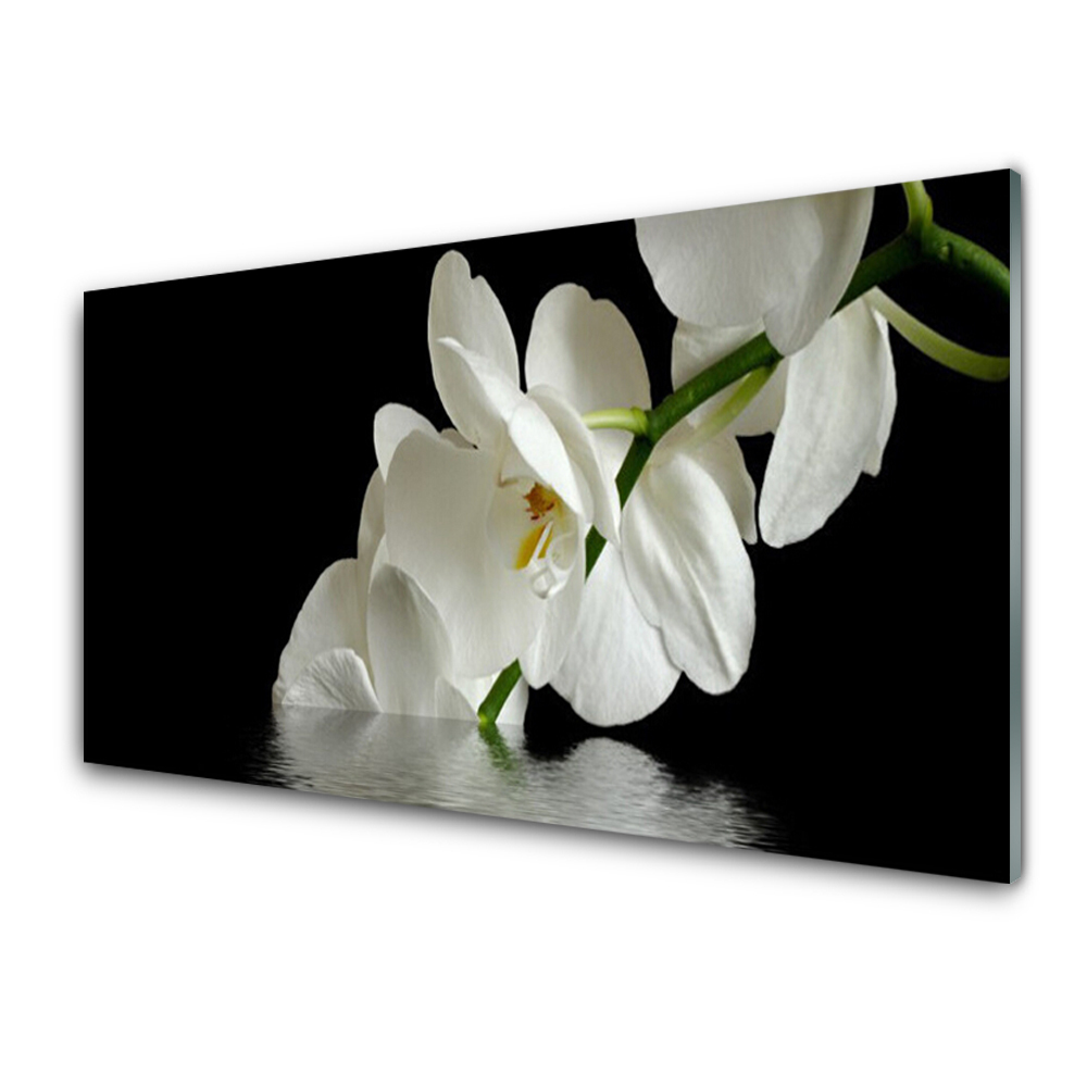 Tableau verre imprimé Orchidée dans l'eau fond noir