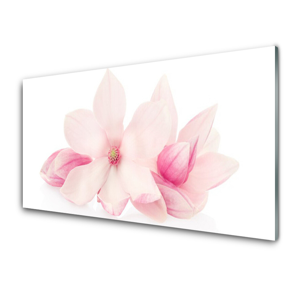 Tableau en verre Pétales de fleurs roses nature