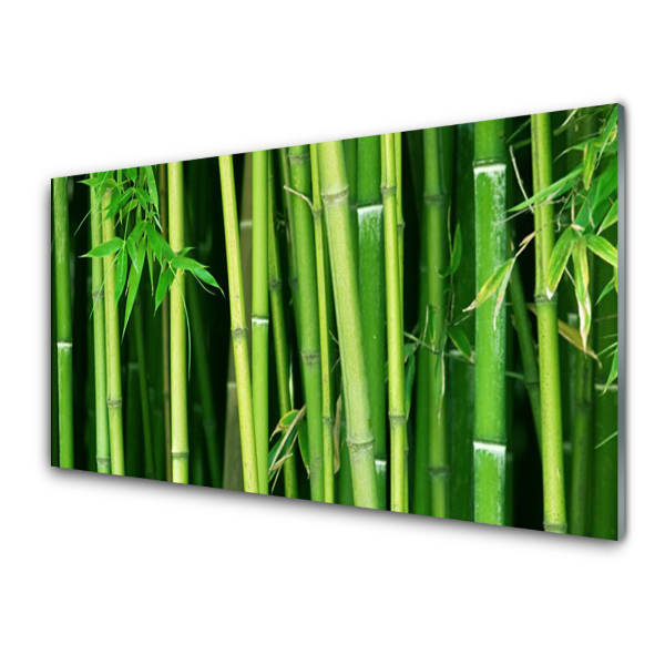 Tableau photo sur verre Forêt de bambous Nature bambou