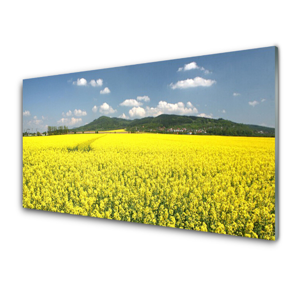 Tableau photo sur verre Champ de colza et collines verdoyantes