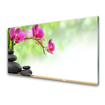 Tableau sur verre Pousses de bambou Pierres