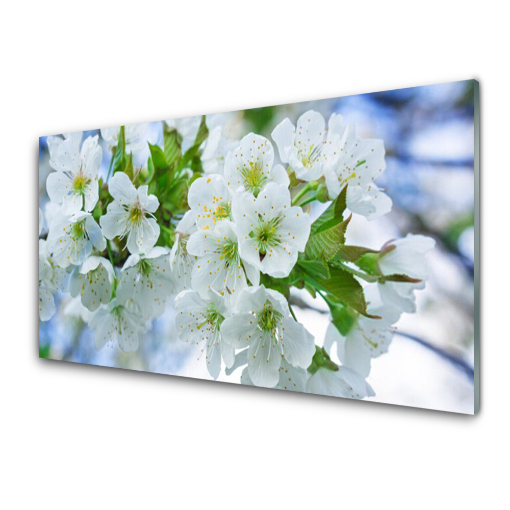 Tableau verre imprimé Fleurs de pommiers Nature