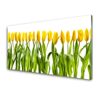 Tableau en verre Rangée de tulipes jaunes